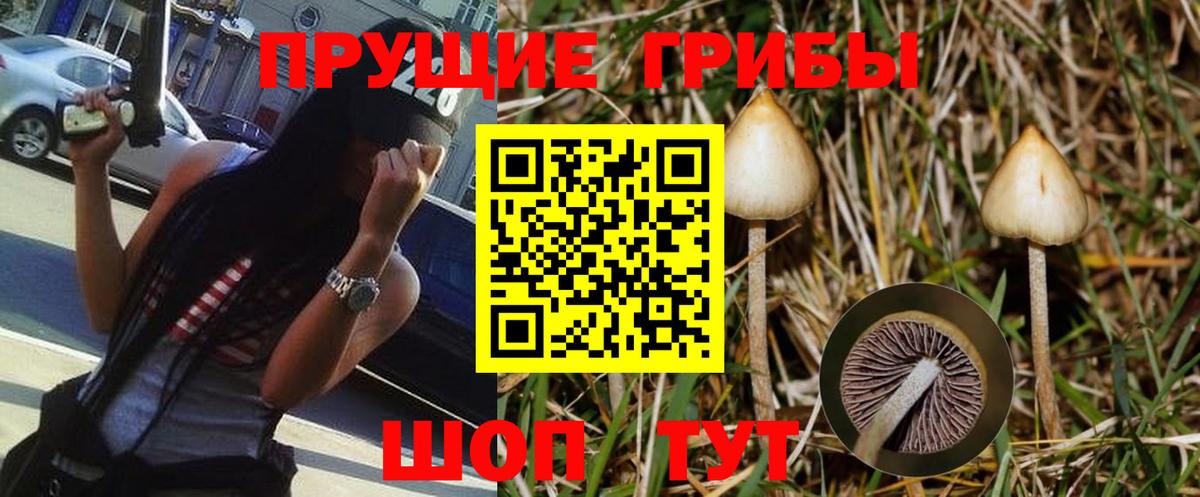 Галлюциногенные грибы ЛСД  Вход с VPN  Когалым  Псилоцибиновые грибы Magic Shrooms 